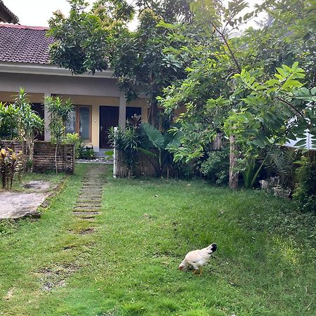 Honey Home Kuta  Exteriér fotografie
