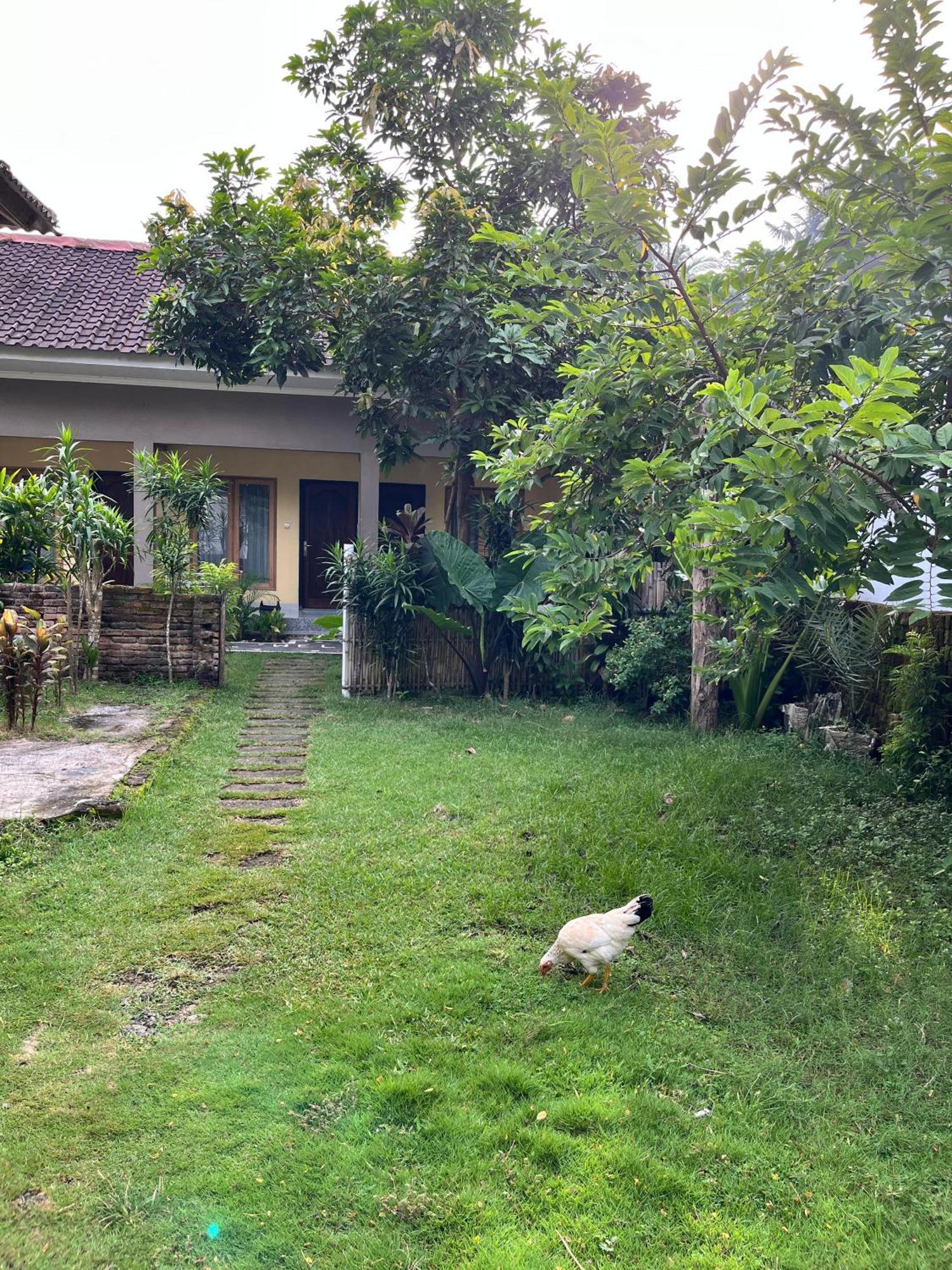 Honey Home Kuta  Exteriér fotografie